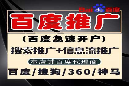 百度竞价广告投放全解析：成功案例揭秘